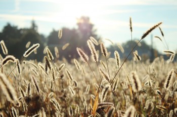 pixabay 제공